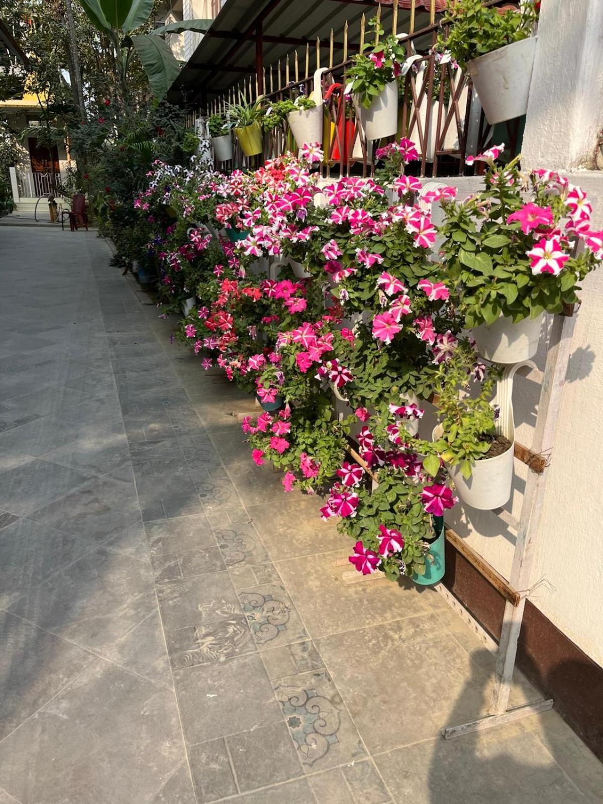 Amazing Homestay Guwahati Exterior foto